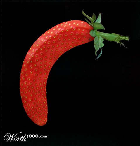 Photoshop Design by kidgetup
