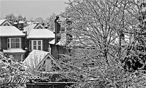 Photography by splong