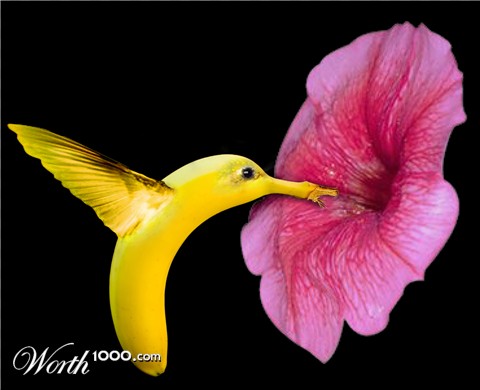 Photoshop Design by hiswill826