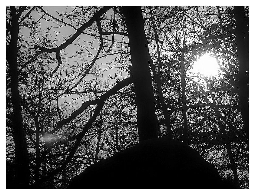 Photography by Manatee for DesignCrowd (Community Contests) | Design #8986246