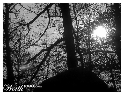 Photography by Manatee