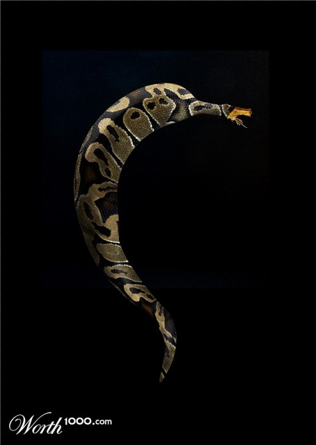 Photoshop Design by eskiss