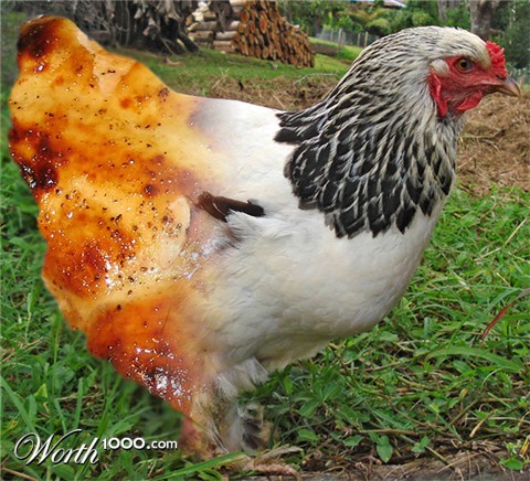 Photoshop Design by Kiloku