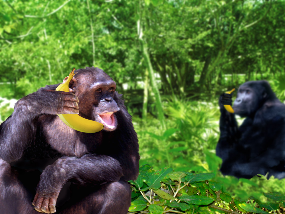 Diseño de Photoshop por NakedApe para DesignCrowd (Community Contests) | Diseño #8981305