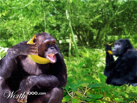 Photoshop Design by NakedApe