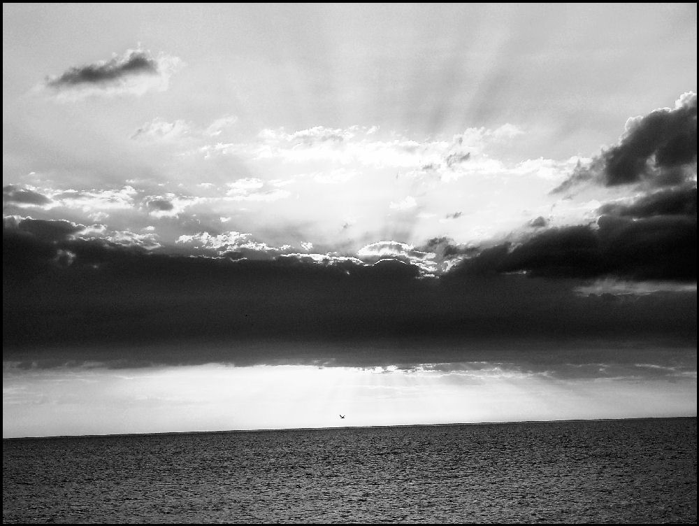 Photography by mandabear1023 for DesignCrowd (Community Contests) | Design #8986206