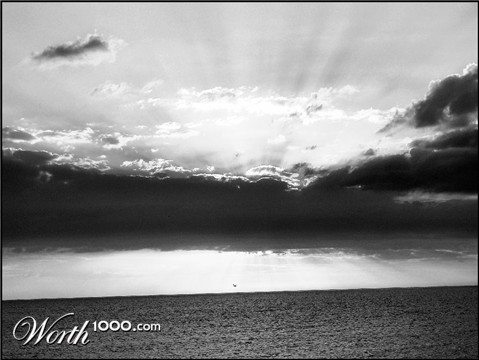 Photography by mandabear1023