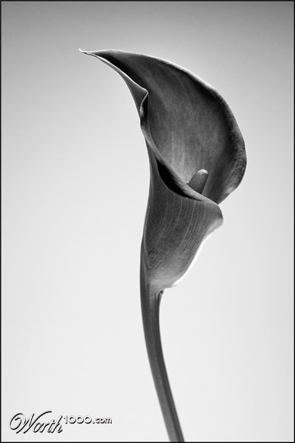 Photography by SigloV