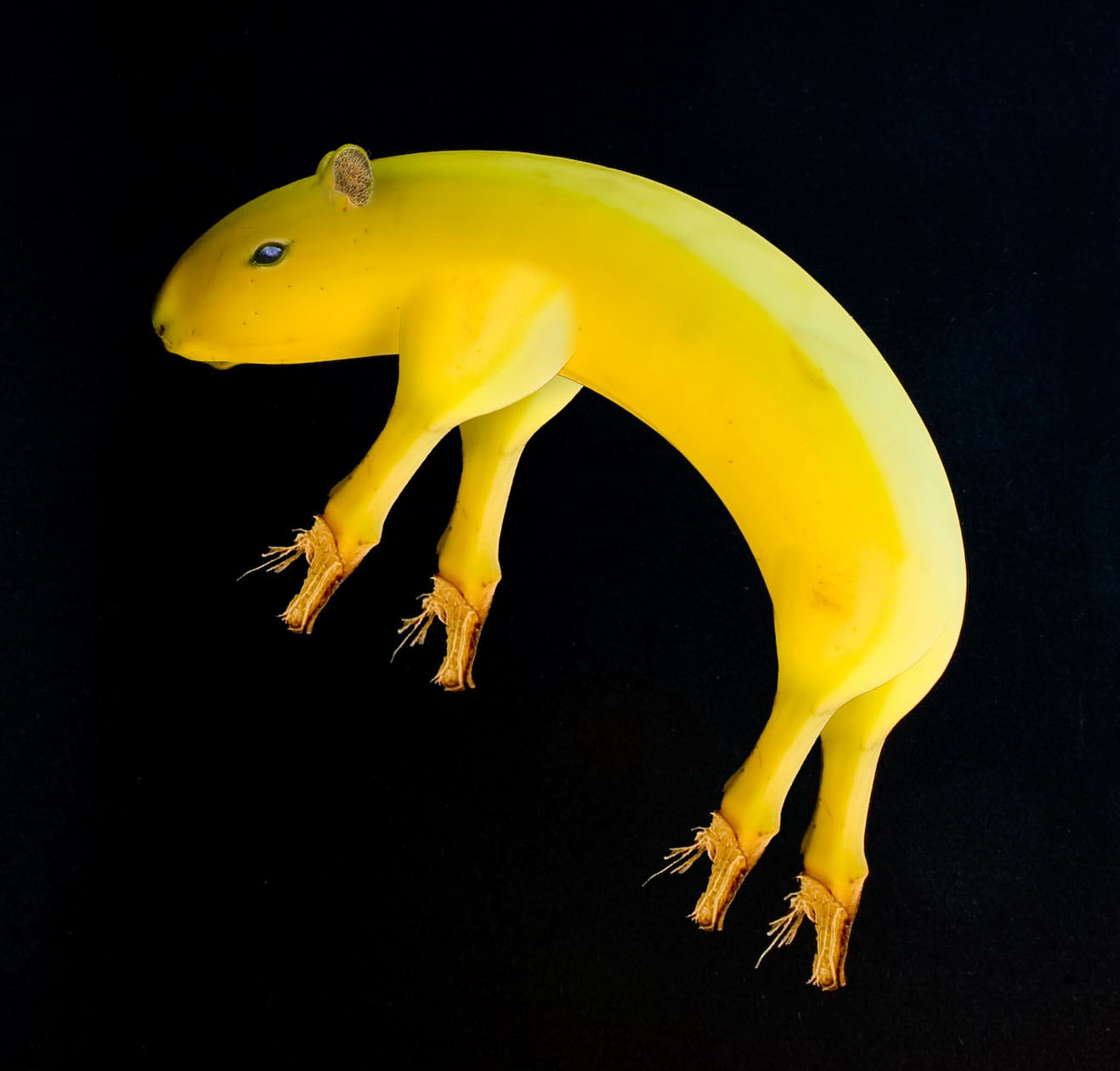 Diseño de Photoshop por despiris para DesignCrowd (Community Contests) | Diseño #8981285