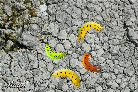 Photoshop Design by jjones539