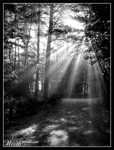 Photography by jen2203