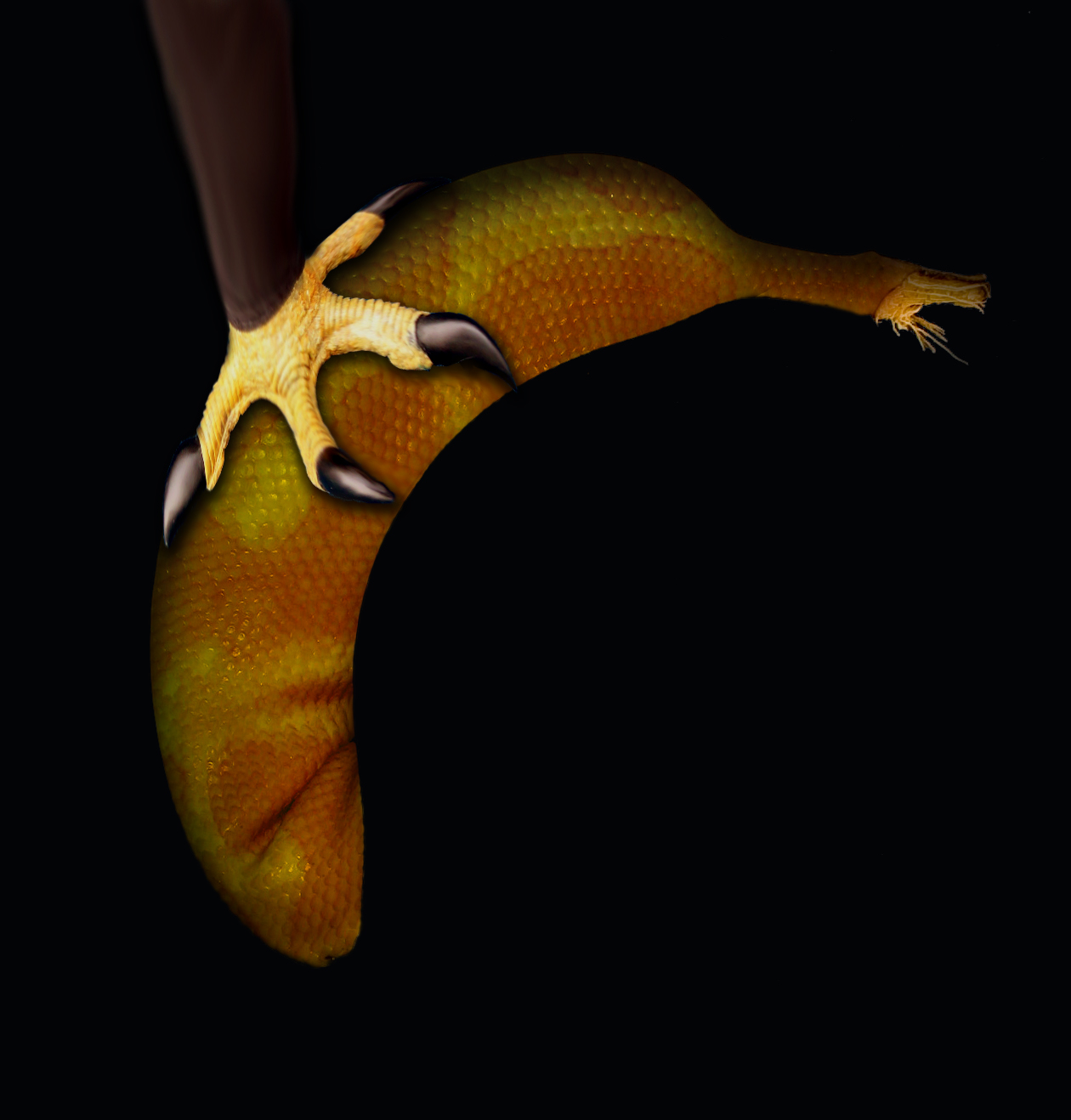 Photoshop-Design von arrobarriba für DesignCrowd (Community Contests) | Design #8981500