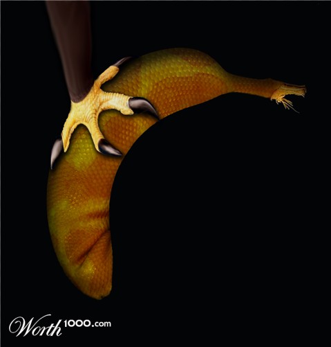 Photoshop Design by arrobarriba