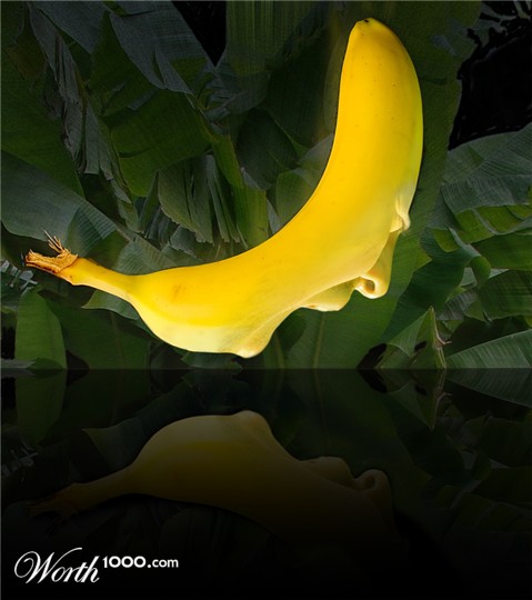 Photoshop Design by Zalgren