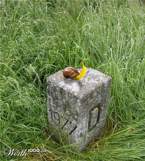 Photoshop Design by wwonka