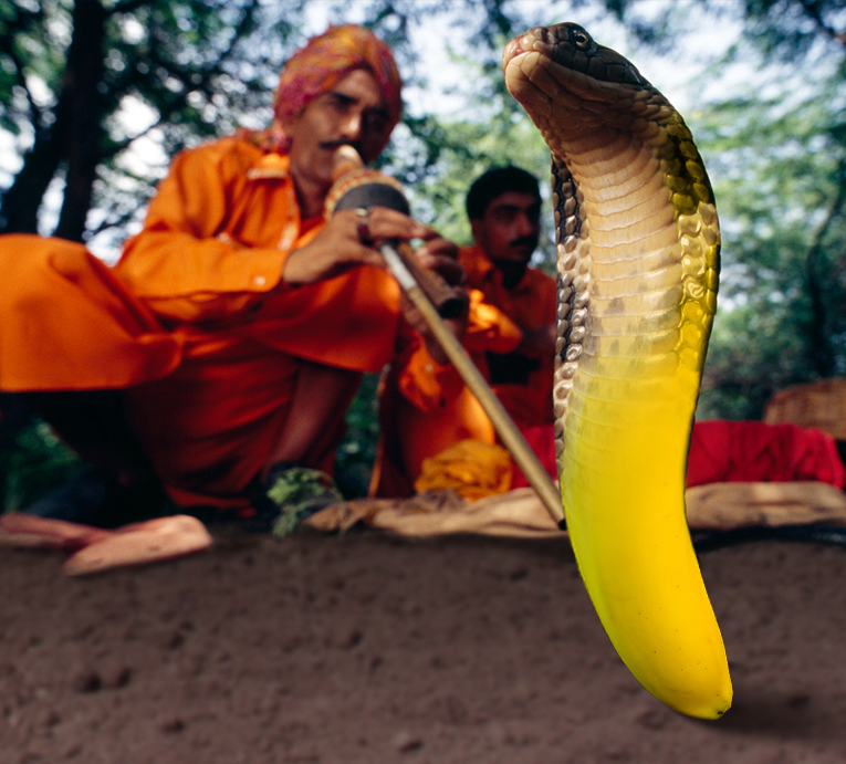 Photoshop Design by WildChildBaby for DesignCrowd (Community Contests) | Design #8981471