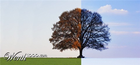 Photoshop Design by prelude11