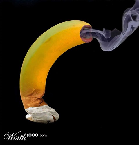 Photoshop Design by YearoftheDragon