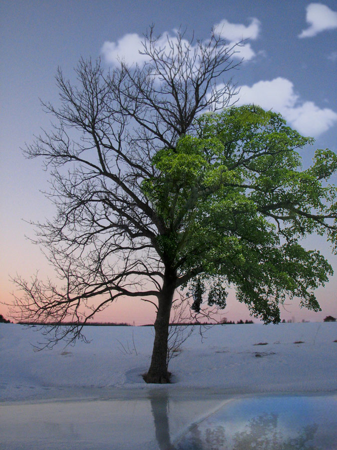 Photoshop-Design von savagejon123 für DesignCrowd (Community Contests) | Design #8979642