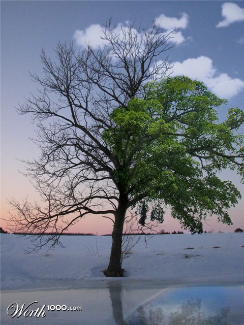 Photoshop Design by savagejon123