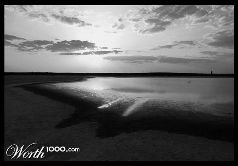 Photography by Inquisitive