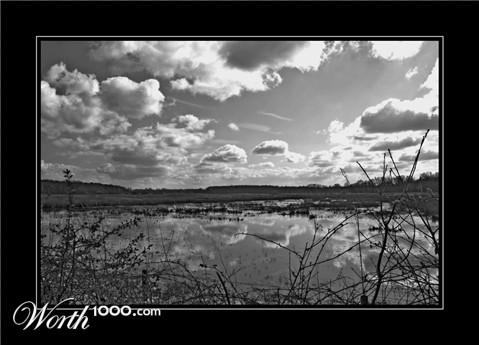 Photography by secretatlantis