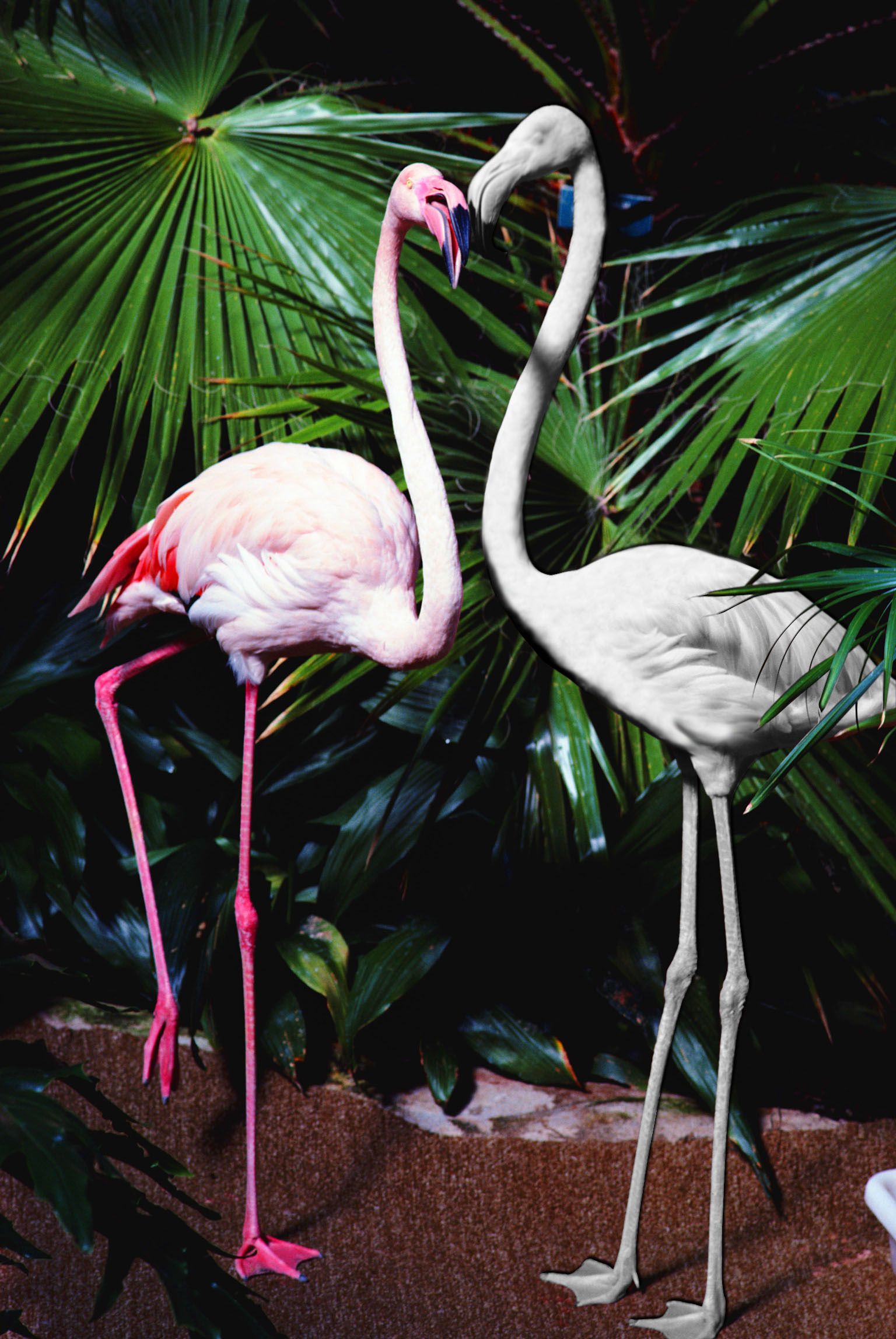 Photoshop Design by honnelsohonn for DesignCrowd (Community Contests) | Design #8984818