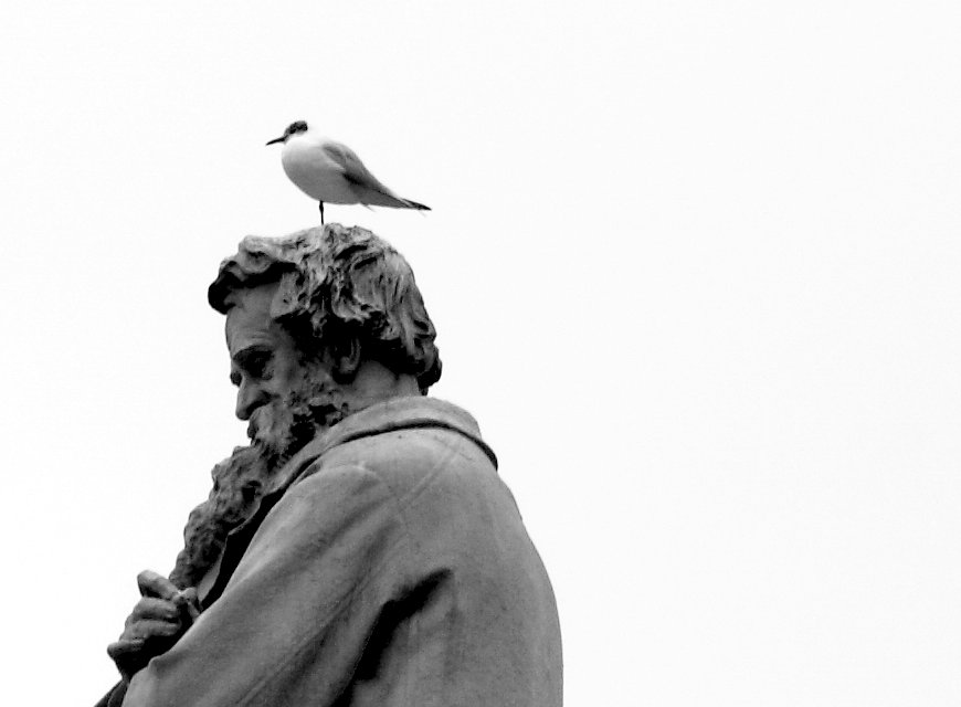Fotografie von saturn673 für DesignCrowd (Community Contests) | Design #8980269