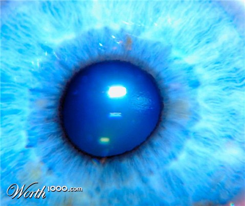 Photography by fotofanatic1