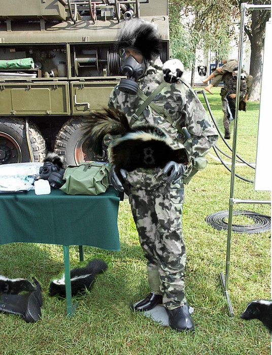 Design Photoshop par Mushon pour DesignCrowd (Community Contests) | Design #8984338