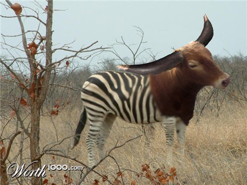 Photoshop Design by rugbycat