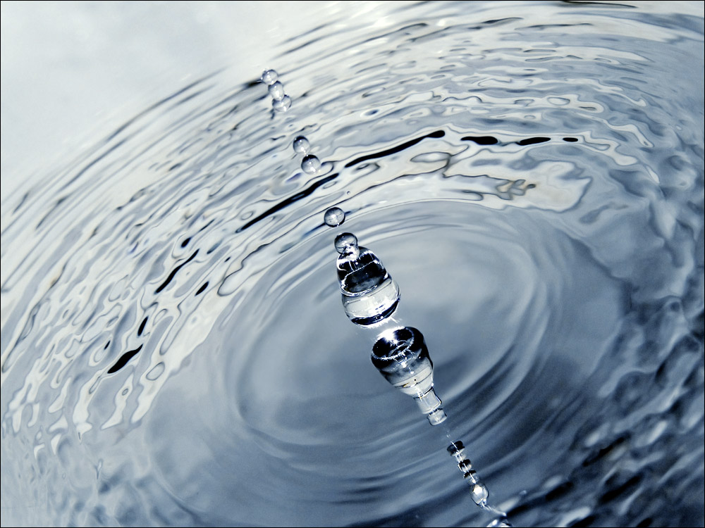 Fotografie von NiyaFlow für DesignCrowd (Community Contests) | Design #8985248