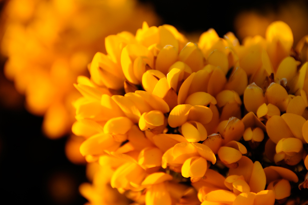 Photographie par Ozzerr pour DesignCrowd (Community Contests) | Design #8980842