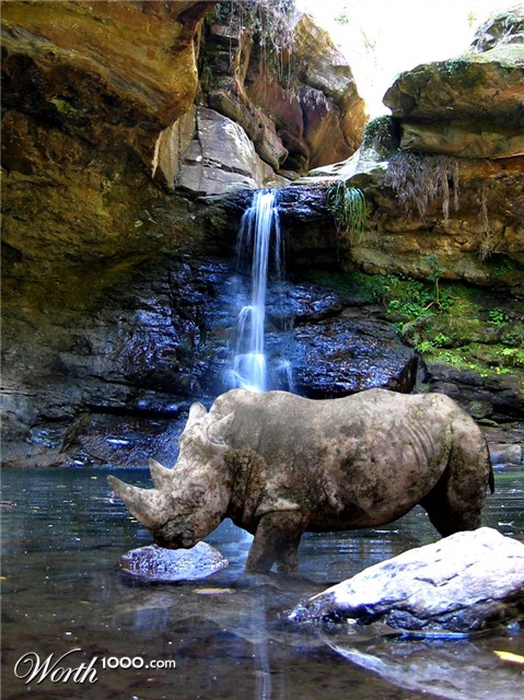 Photoshop Design by deerreaper