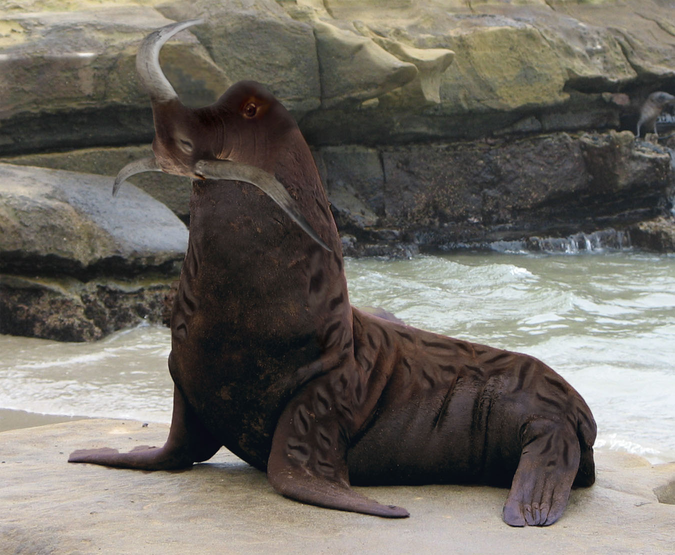 Photoshop Design by Acousticrat for DesignCrowd (Community Contests) | Design #8984441