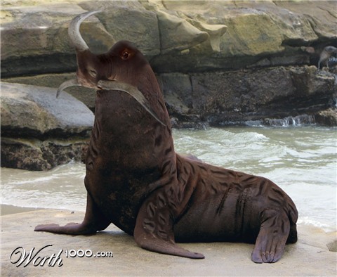 Photoshop Design by Acousticrat