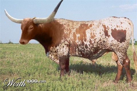 Photoshop Design by VaneetraX