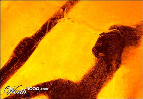 Photography by kimbomac