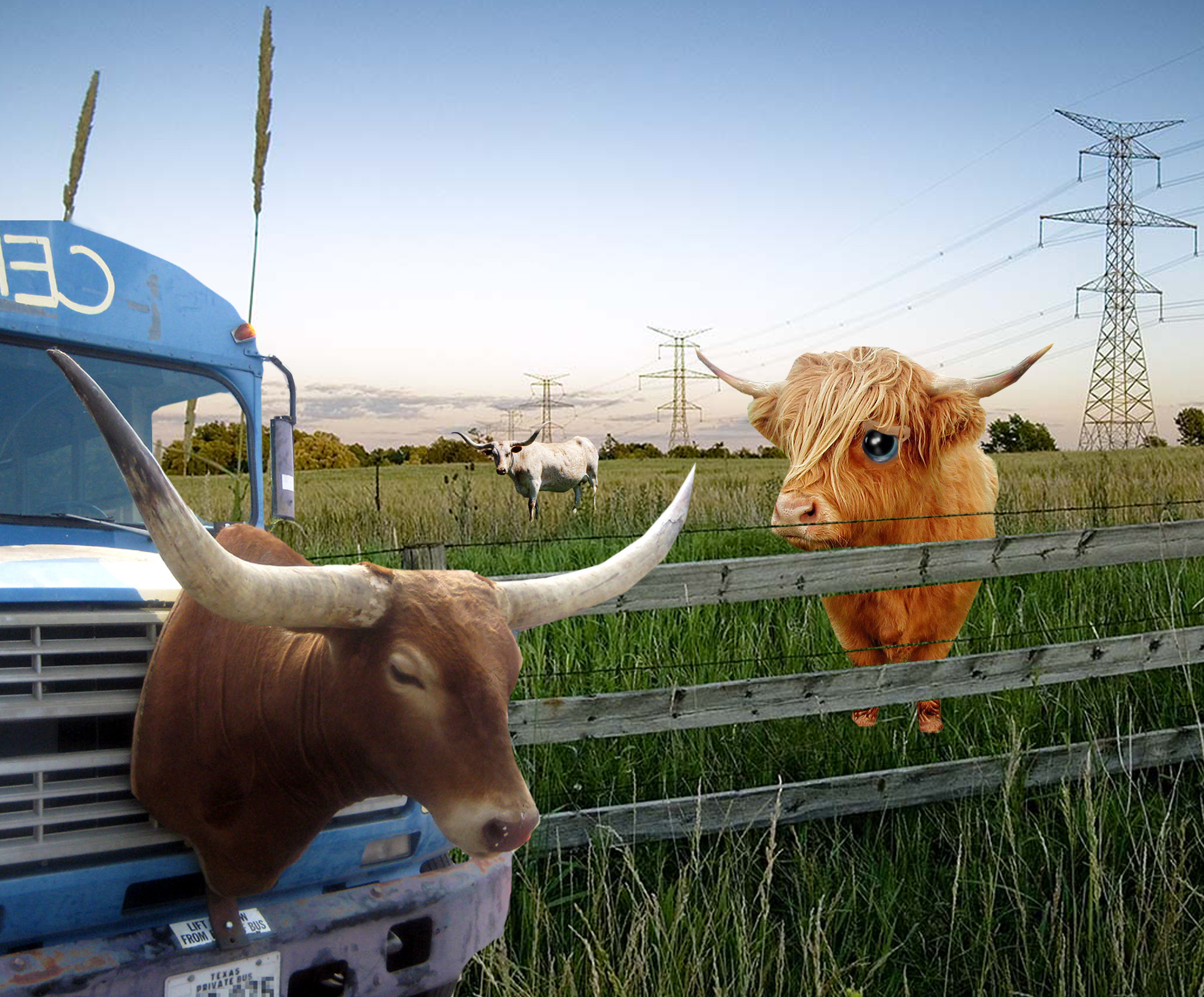 Photoshop Design by Katherine1234 for DesignCrowd (Community Contests) | Design #8984438