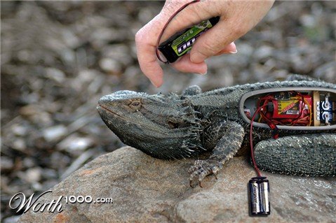 Photoshop Design by John93036