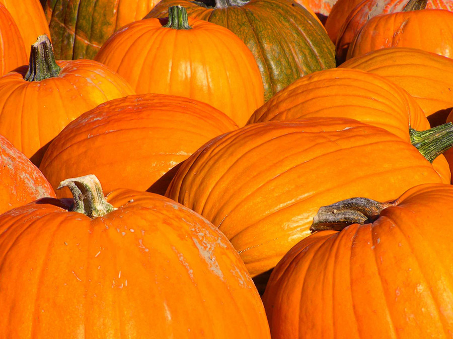 Photography by klxner for DesignCrowd (Community Contests) | Design #8980832