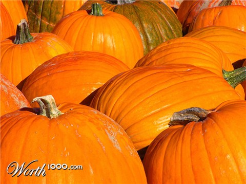 Photography by klxner