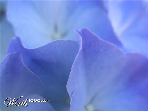 Photography by Sabour