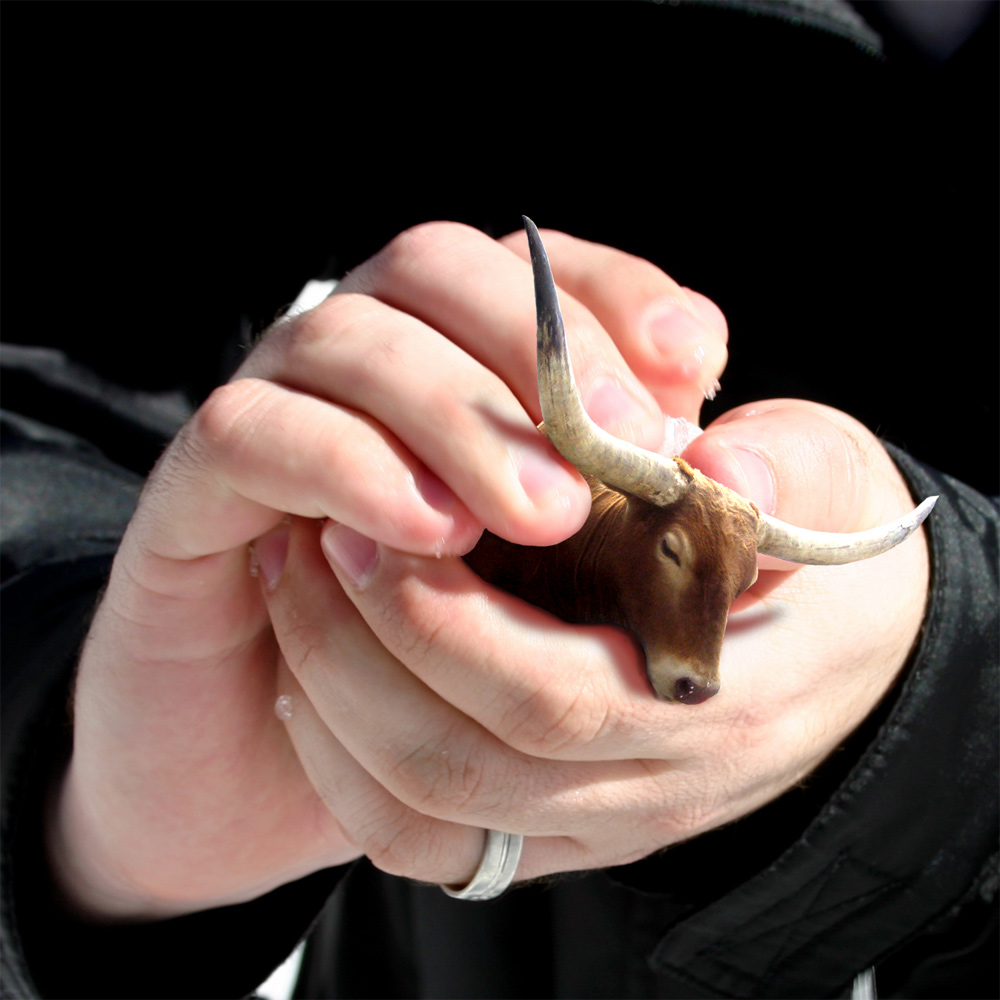 Photoshop Design by JekHyden for DesignCrowd (Community Contests) | Design #8984404