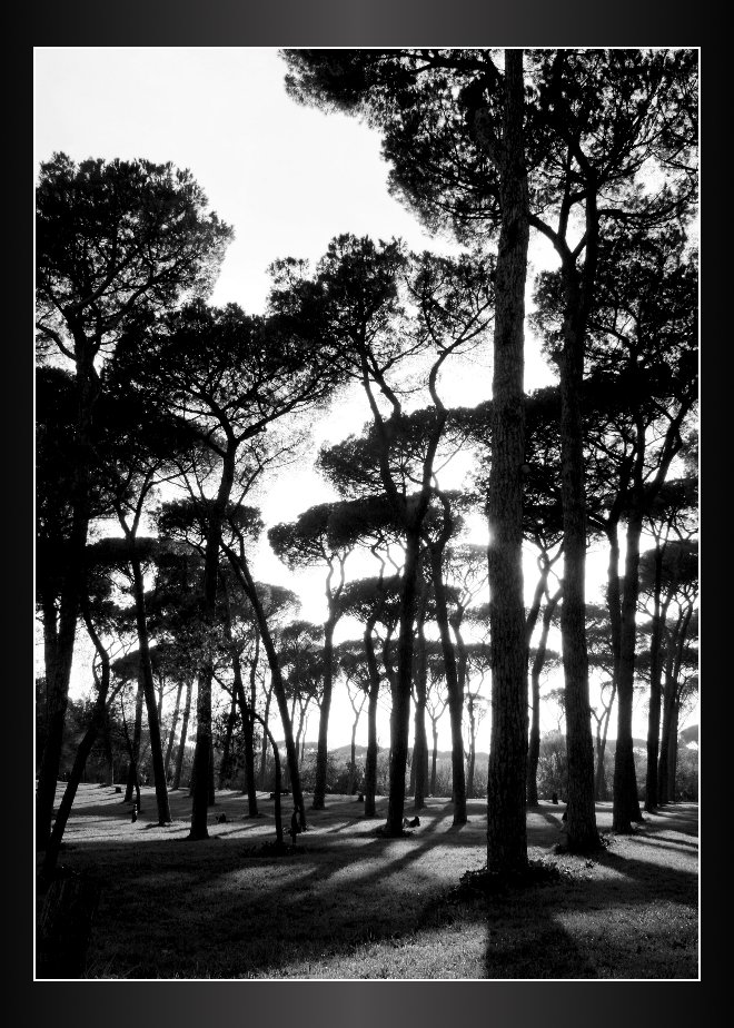 Fotografie von saturn673 für DesignCrowd (Community Contests) | Design #8986507