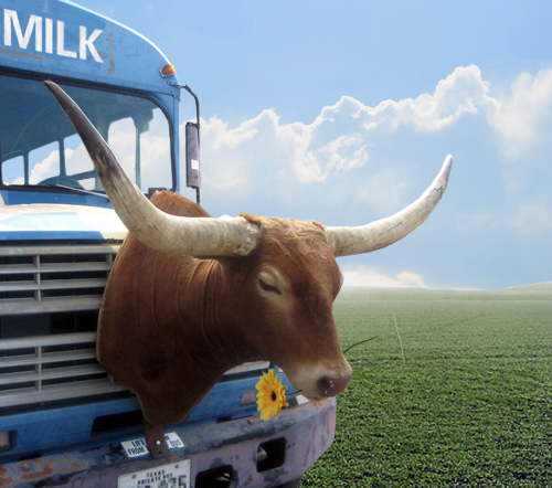 Photoshop Design by claypots for DesignCrowd (Community Contests) | Design #8984454