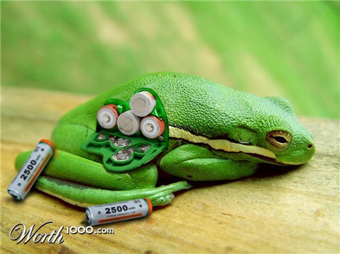 Photoshop Design by HopePhoto