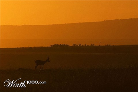 Photography by YaAmir