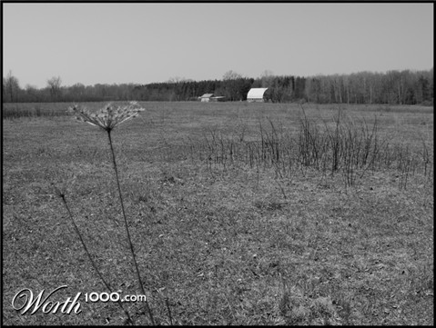 Photography by Chimmi