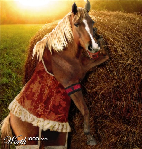 Photoshop Design by NakedApe